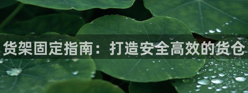 杏运体育官网