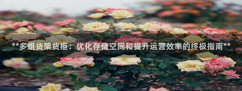 杏运平台登陆