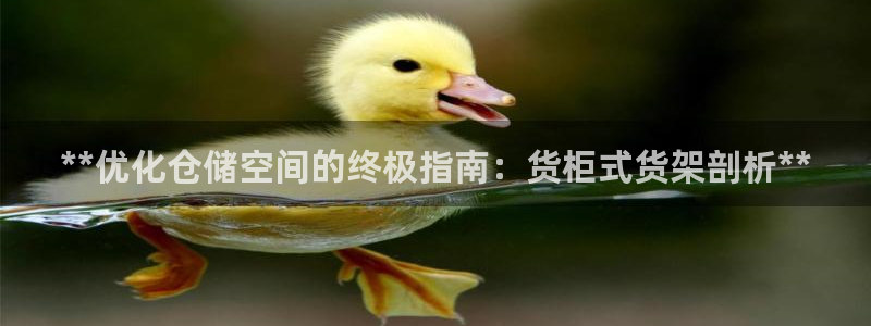 杏运体育官方网址