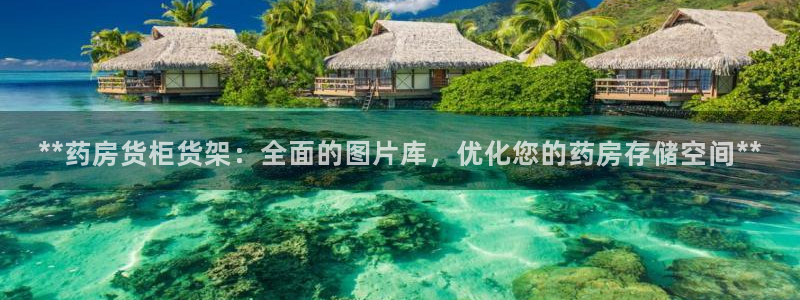 杏运平台代理