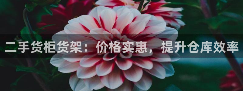 杏运体育注册