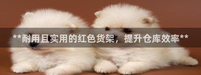 杏运平台注册登录