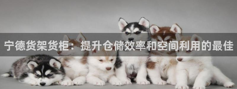 杏运汽车