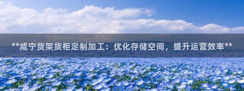 杏运汽车招商