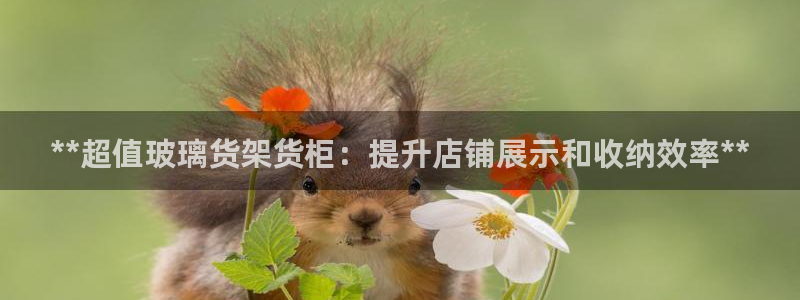 杏运平台官方网站