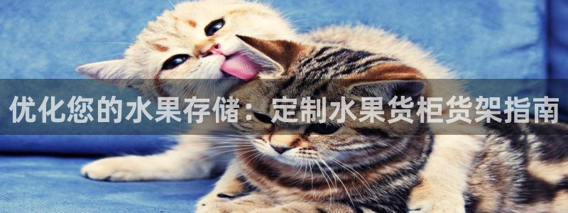 杏运娱乐官网