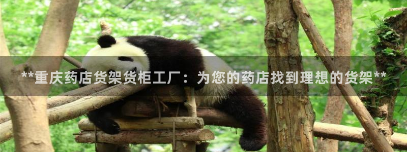 杏运平台注册登录