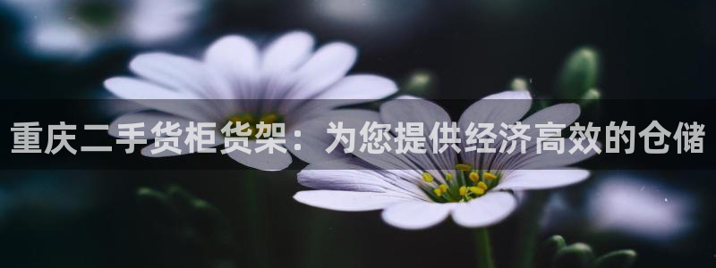 杏运注册平台