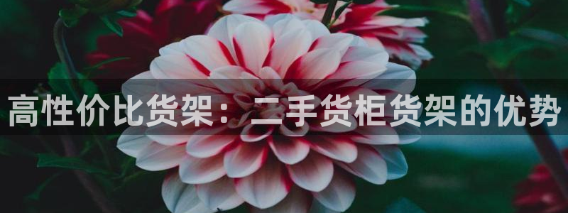 杏运注册