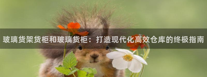 杏运体育app