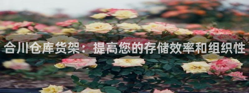 杏运相伴