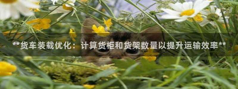 杏运娱乐官网