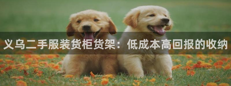 杏运体育app下载安装手机版