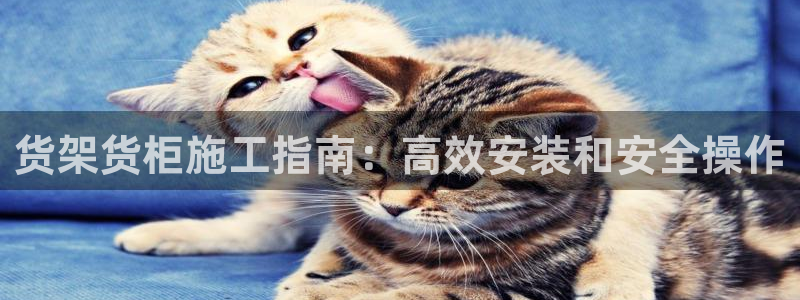 杏运体育app