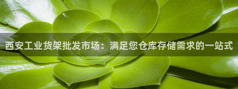 杏运体育平台正规吗安全吗