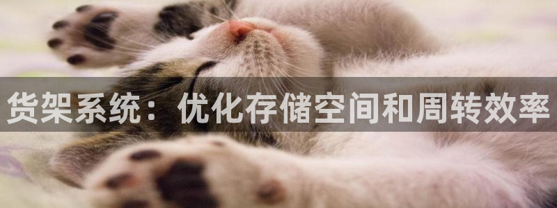 杏运体育注册