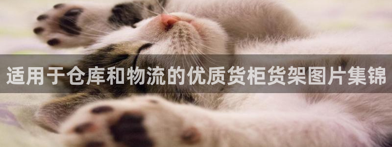 杏运新能源
