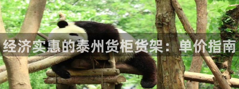 杏运新能源