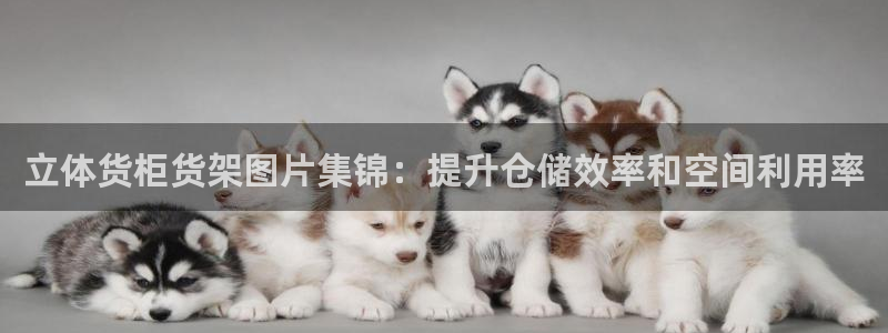 杏运娱乐怎么样