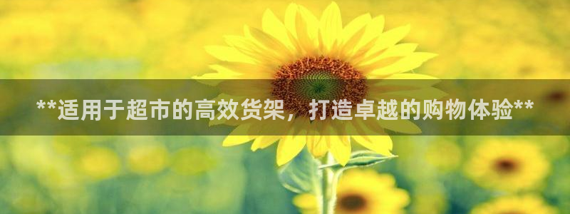 杏运汽车招商