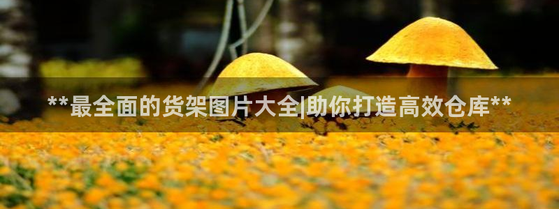 杏运体育