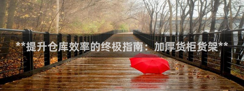 杏运相伴