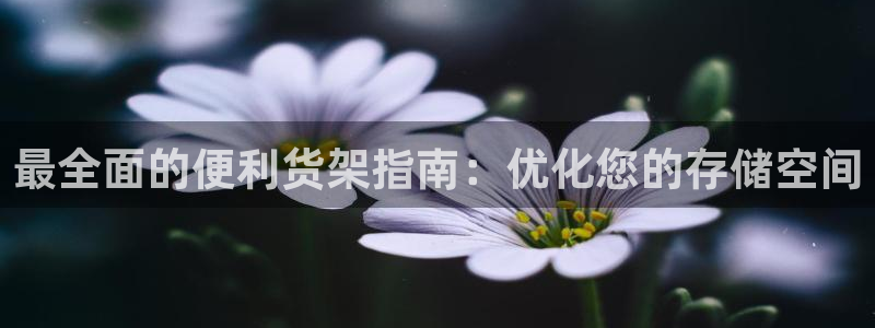 杏运体育登录