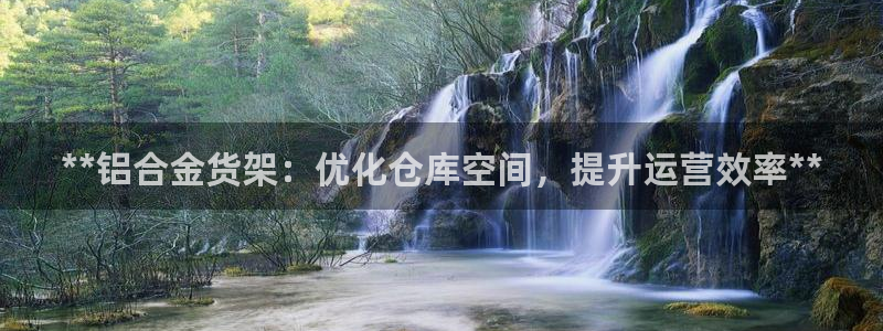 杏运汽车招商