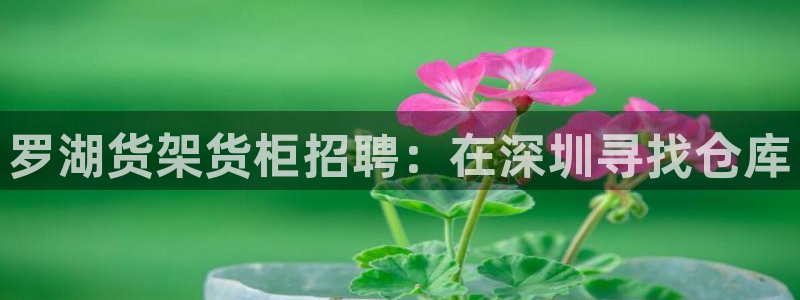 杏运平台官网