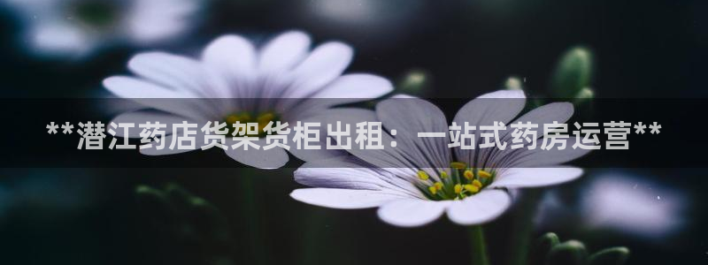 杏运相伴