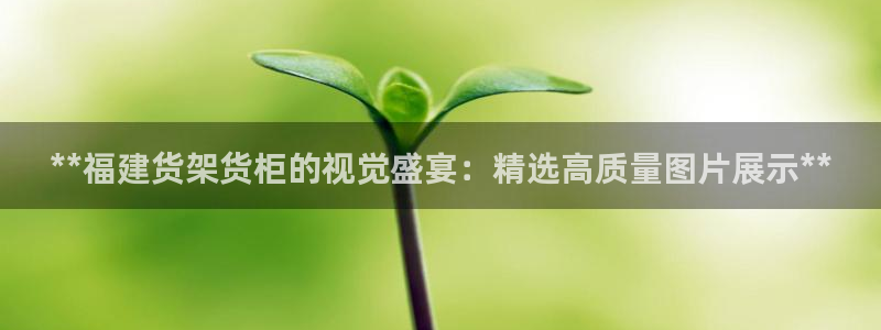 杏运汽车招商
