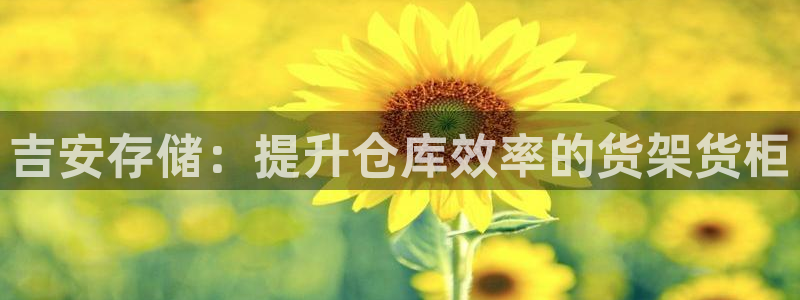 杏运娱乐平台注册地址在哪里