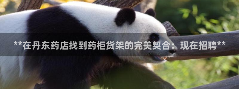 杏运代理