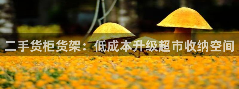 杏运汽车招商