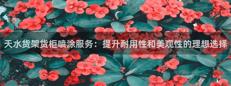 杏运代理