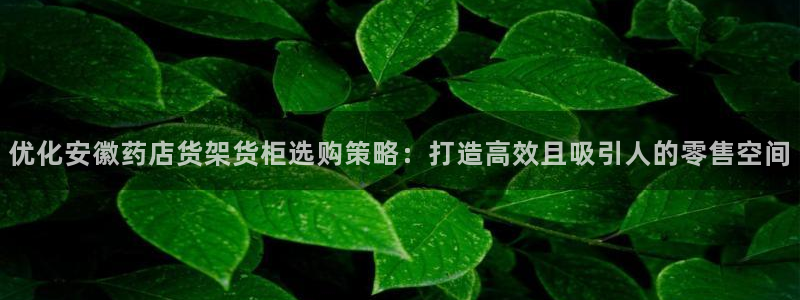 杏运汽车招商