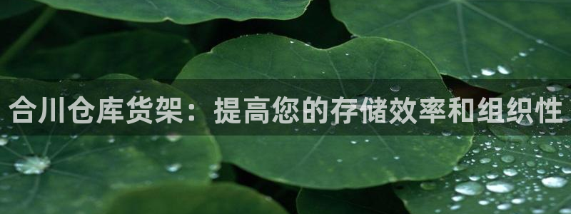 杏运体育官方网址登录