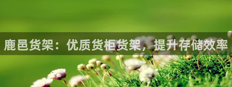 杏运汽车