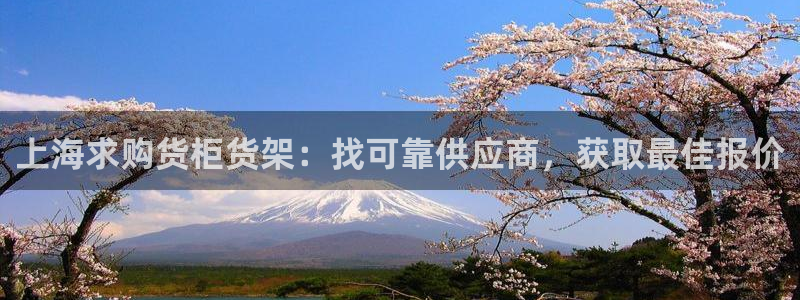 杏运新能源