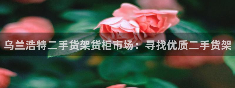 杏运代理