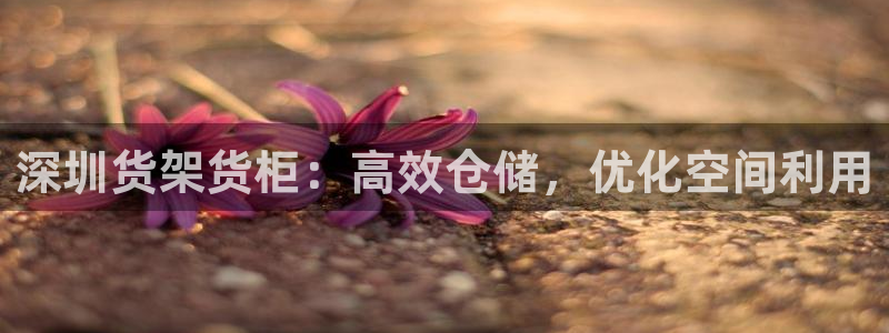 杏运体育官方网址