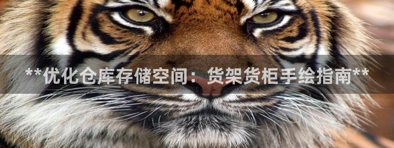 杏运新能源