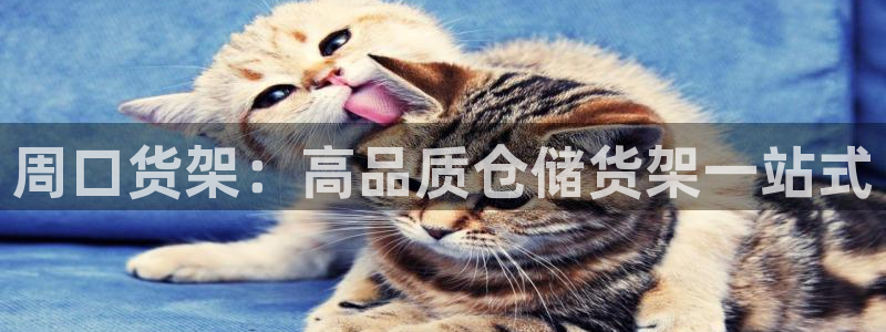 杏运平台官网