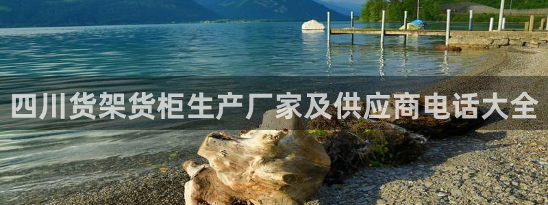 杏运汽车招商