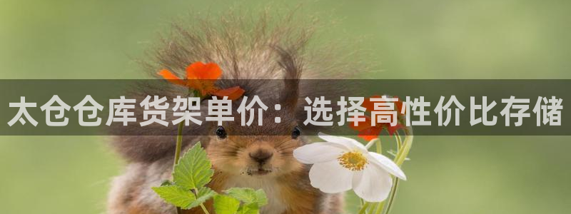 杏运注册账号