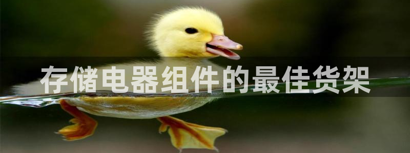 杏运体育