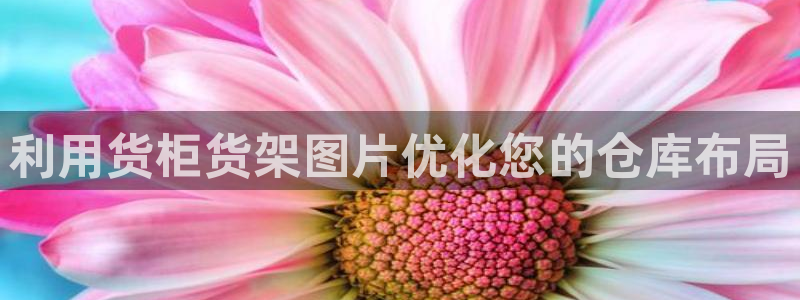 杏运注册登录地址