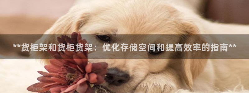 杏运体育app下载安装手机版