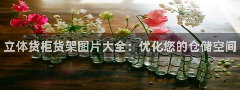 杏运汽车