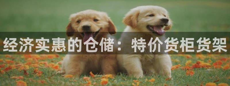杏运注册
